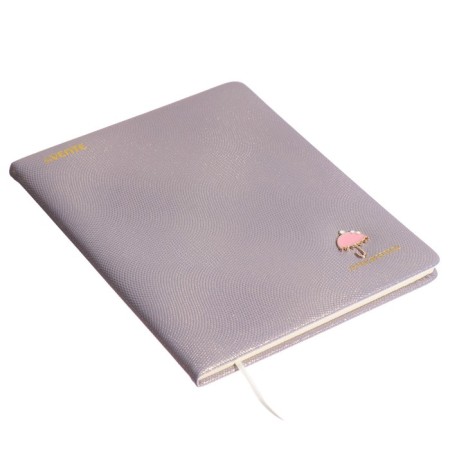 Universal diary for Umbrella 1-11 grade, hard cover, artificial leather, foam rubber, lies, 80 g/m2-1