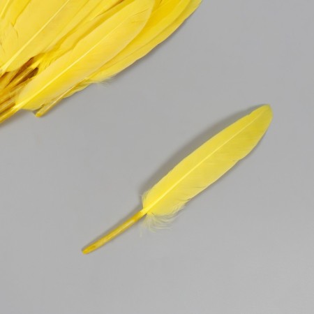 Decorative goose feature "bright yellow" set 30 pcs h = 10-12 cm-1