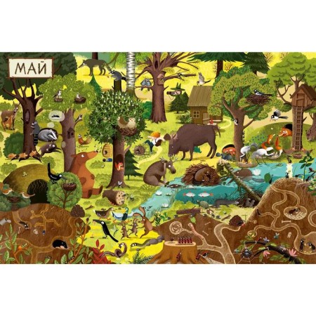 In. Year in the forest. Find and show (new). Dziubak E.-2