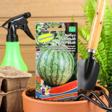 The seeds of the watermelon "The very first", ultra-rapid, 3-4 kg, 10 pcs.