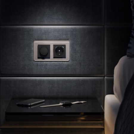 Frame W0022417, 2 Elite sockets, smoky, glass-1