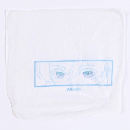 Set for creativity. Embroidery on clothes. “Genshin. Albedo"-3