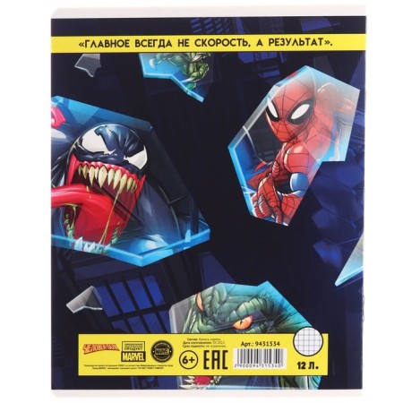 Notebook in a cage 12 sheets, 5 types of mix, cover coated cardboard, spider-man-10