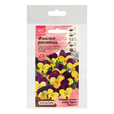 Flower seeds Violet "Ello Purple Wing", set 5 pcs-2