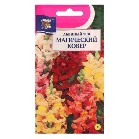 Flower seeds Lion Zev are low. "Magic Carpet", 0.2 gr
