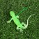 Lighting decorative suspension "Lizard", 10 × 4.5 cm