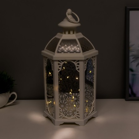 Nightlight 48129/1 batteries 3haaa white 14x16x32 cm Risalux-2