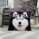 Decorative Ethel Pillow "Husky" 40x40 cm, Gabardin, 100% p/e