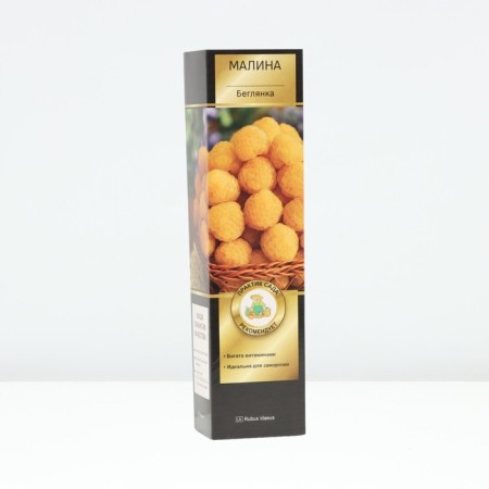 Raspberry promising varieties "runaway", tube, 1 pc, spring 2025