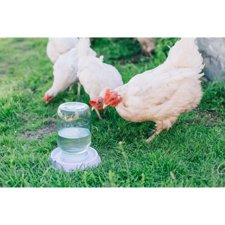Drill for poultry, under a jar D = 135 mm, color mix-6