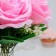 Bouquet-fool "Freshness", 7 pcs., Roses
