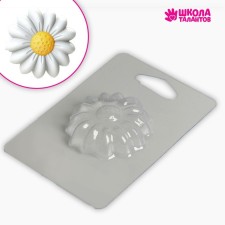 Plastic form for soap 