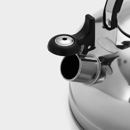 A kettle with a stainless steel whistle "family", 2.8 liters-2