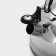 A kettle with a stainless steel whistle "family", 2.8 liters
