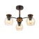 Ceiling EVOLUCE lamp. Sle108102-03. Rasco. 3x60 watts, E27, 49x49x35 cm, black color, dark tree