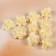 A set of colors for decor from foamiran, d = 3.5 cm, 10 pcs, openwork edge, beige