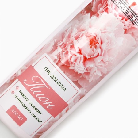 Gift set of cosmetics “Shine!”, Shower gel 250 ml and a body scrub 250 g, pure happiness-2
