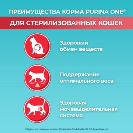 Dry food Purina One for sterilized cats, salmon/wheat, 200 g-2