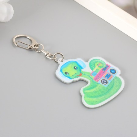 Acryl keychain "Snakes in headphones with tape recorders" 6x4.3 cm-1