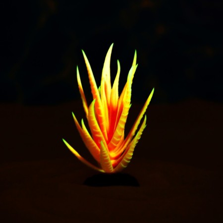 The artificial aquarium, luminous plant, 10 cm, red-4