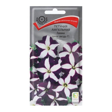 Petunia flowers ampelous "Avalanne Blue Star" F1 10 pcs