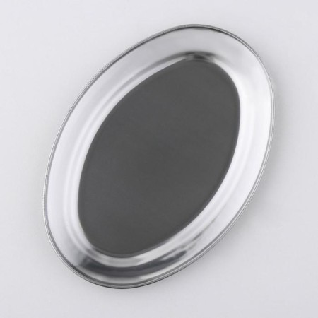 Stainless steel tray, 21.5 × 15 × 1.5 cm-1