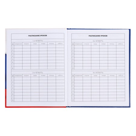 Diary for grades 5-11, 48 sheets of "Russian schoolchild No. 4", hard cover, glossy lamination, block 60 g/m2-6