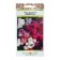 Flocus seeds Flox one -year "joy", a mixture, 0.2 g