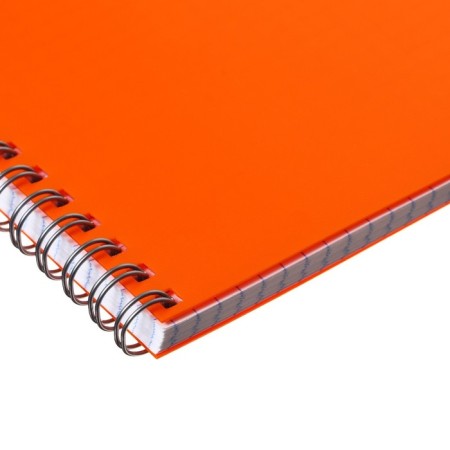 Notebook on the crest A4 60 sheets in the Calligrata cell is orange, plastic cover, offset block-4