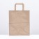 Paper Kraft package, flat handle 24 x 14 x 29 cm, 90 g/m²