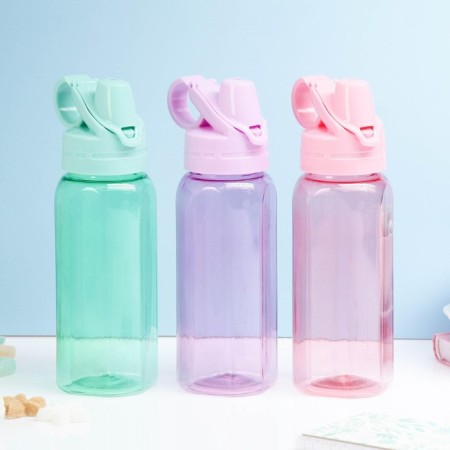 Water bottle, 450 ml, 20 x 8 cm, mix-5