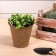 Peat pot, 350 ml, 9 × 9 cm, set of 9 pcs.
