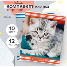 A set of notebooks of 10 pieces, 12 sheets in the Calligrata “kittens” cage, cover coated cardboard, VD-clip, OFSET block, 5 types of 2 pieces