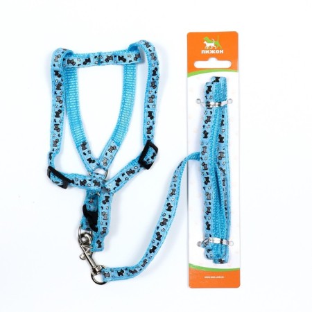 Set "Dogs", leash 120 x 1 cm, og 23-35 cm, blue-6