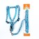 Set "Dogs", leash 120 x 1 cm, og 23-35 cm, blue