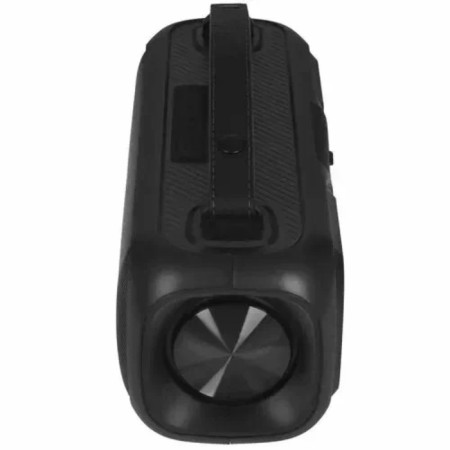Portable audio system Telefunken TF-PS1281B (black)-2