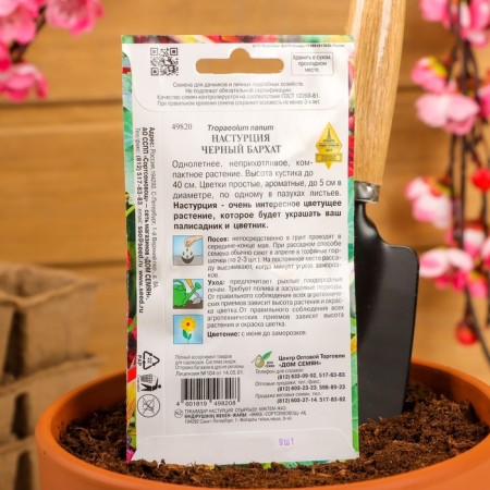 Flower seeds nasturtium "Black velvet", 9 pcs-3