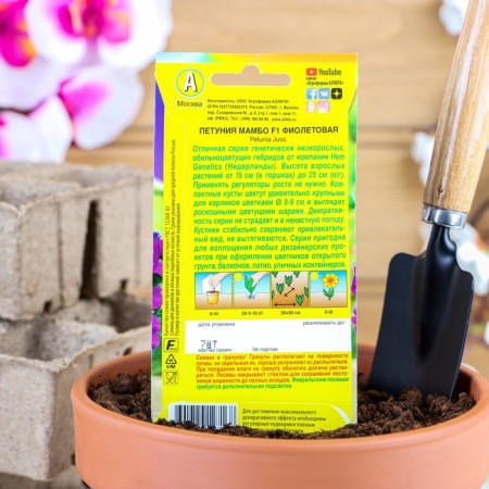 Petunia seeds "Mambo" F1 Violet Tangle, 7 pcs-2