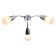 Ceiling lamp Aquilegia E14x40W