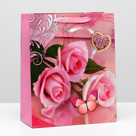 Laminated package, 26 x 32 x 12 cm