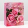Laminated package, 26 x 32 x 12 cm