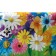 Groundpress "Flower Polyana", 120x220 cm, 35 μm