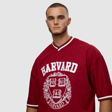 Male Harvard T -shirt, Bordeaux Color, One Size size-1