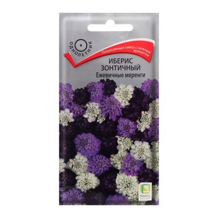 Flower seeds Iberis umbrella "Blackmarkets", 0.1 g