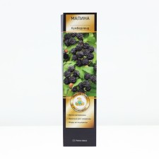 Raspberry Chernolor varieties suite 