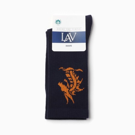 Male socks "Dragon", blue color, size 25-27-2