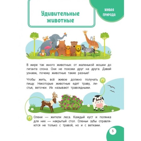 My first discoveries book: for children from 4 years old. Baranova N.N.-2