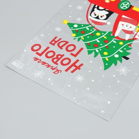 Plastic package "Bright NG", 20 x 30 cm, New Year-3