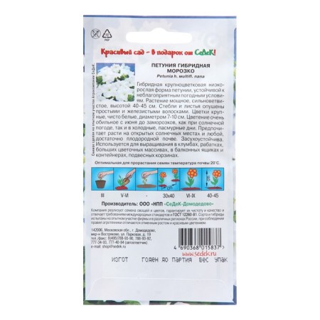 Petunia Fronts "Morozko", Euro, 10 pcs-1