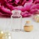 The basis for creativity and decoration is a bottle with a lid, 10 ml